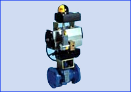 Automation Valves