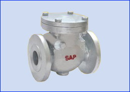 Check Valve