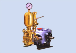 Reciprocating Piston Pumps