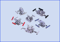Valve Manifold