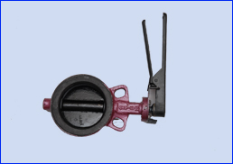 BUTTERFLY VALVE